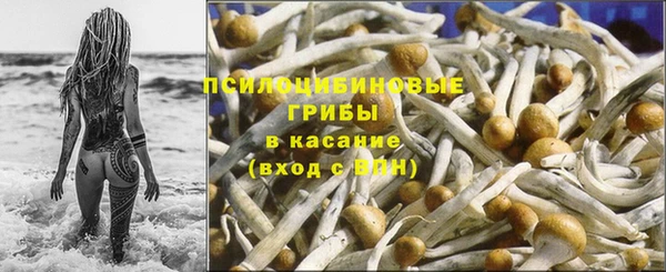ГАЛЛЮЦИНОГЕННЫЕ ГРИБЫ Алзамай