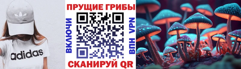 Галлюциногенные грибы мицелий Жиздра